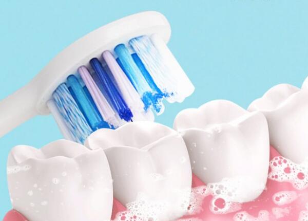 刷博士电动牙刷头