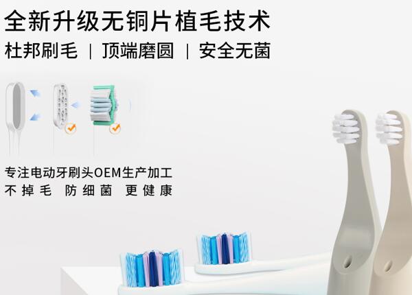 刷博士电动牙刷头生产代工贴牌