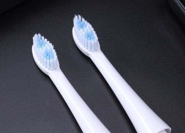 电动牙刷头什么价格比较合适