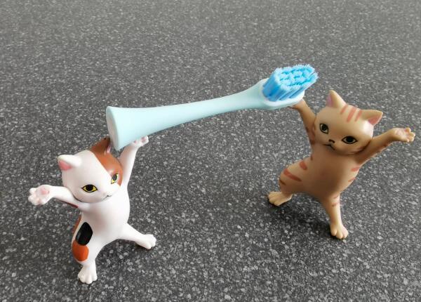 儿童电动牙刷头如何选择？儿童电动牙刷头选购要点